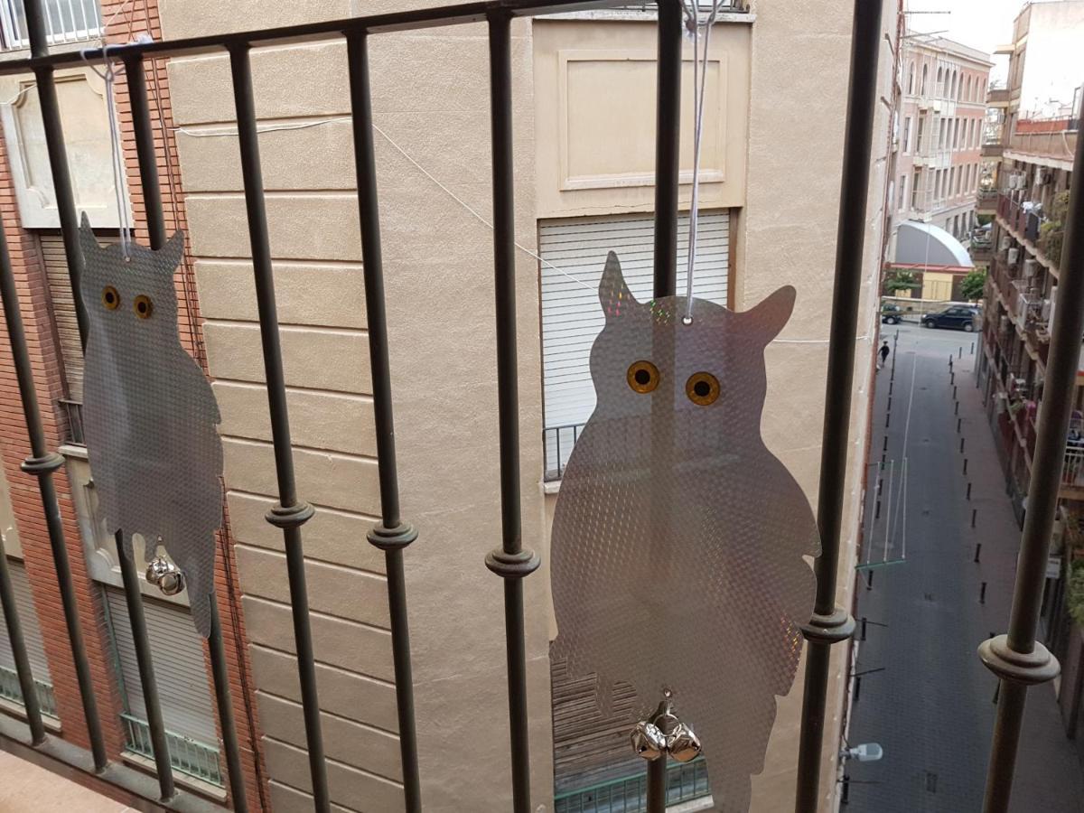 Apartamento Los Buhos Murcia Esterno foto